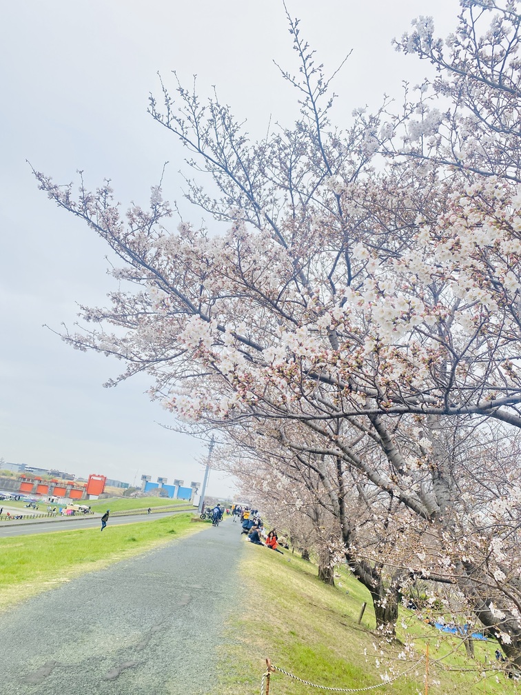 人気 ペット納骨 乗泉寺 返して欲しい